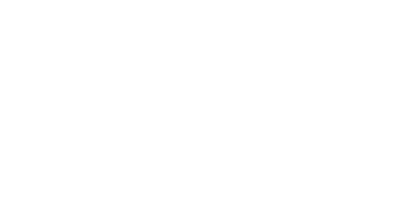 Noaidi